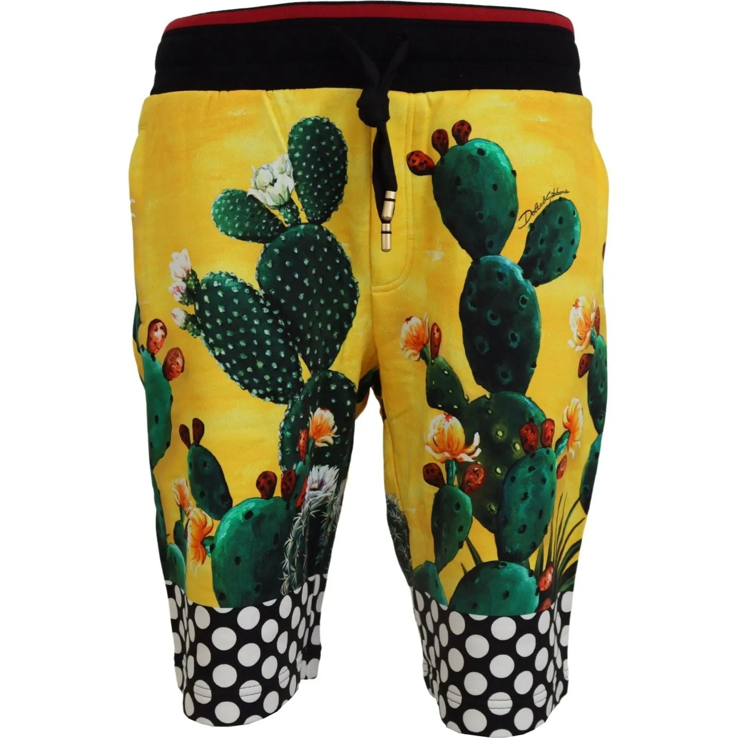 Dolce & Gabbana Multicolor Cactus Print Sweat Shorts