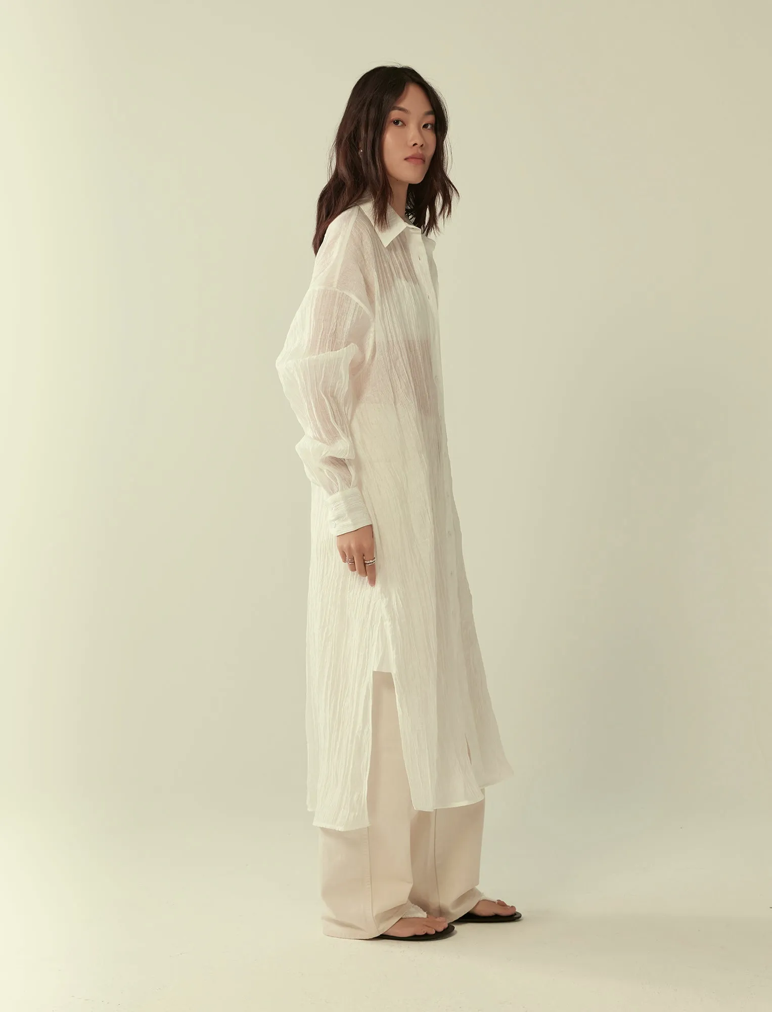 pleated sheer shirt dress