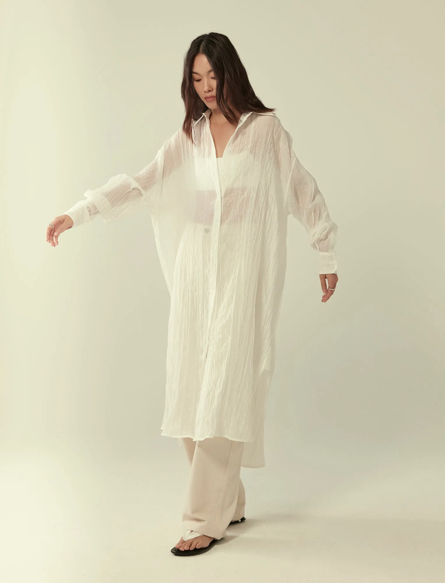 pleated sheer shirt dress